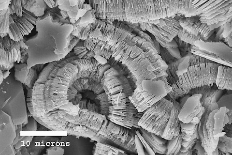 Kaolinite, wormlike structures/Southern Australia (www.minersoc.org/gallery.php?id=2)