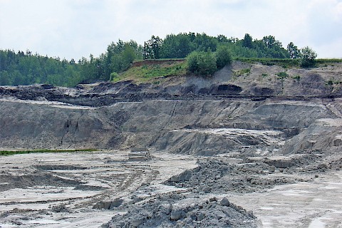 Spremberger layers in the clay pit Wiesa/Thonberg (2007)