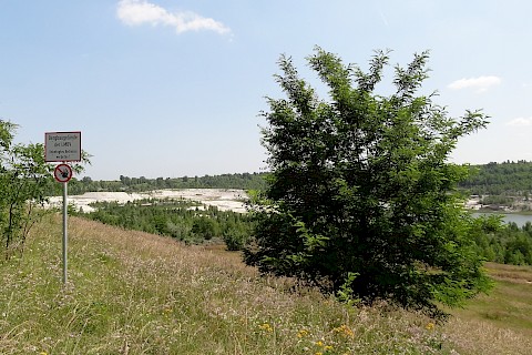 One of the biggest clay pits in Central Europe/Halle-Leipzig area (2013)