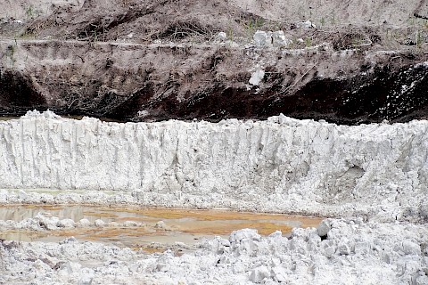Typical paragenesis of white-firing clay and coal seams (2012)