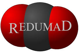 Logo Netzwerk REDUMAD
