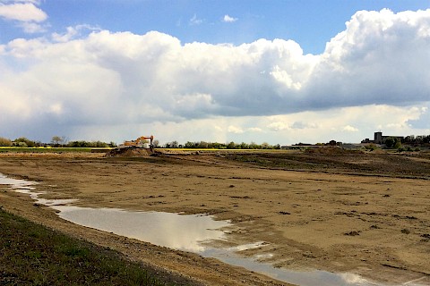 Large new pit with Rupelian clay/Anhalt-Bitterfeld (2016)