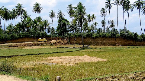 Extensive loam mining in the river basin of the Krueng Aceh, photo: Walter (2006)